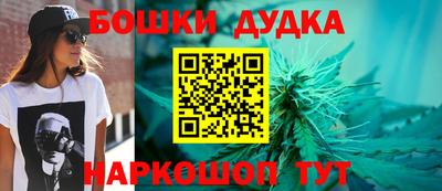 индика Кинель